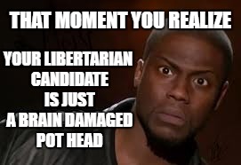 Election 2016 | THAT MOMENT YOU REALIZE; YOUR LIBERTARIAN CANDIDATE IS JUST A BRAIN DAMAGED POT HEAD | image tagged in memes,kevin hart the hell,gary johnson | made w/ Imgflip meme maker
