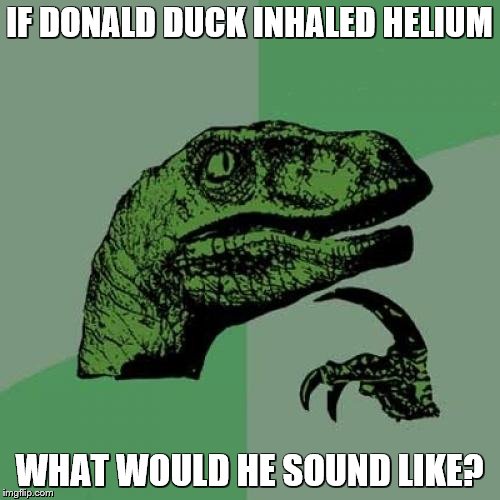 Philosoraptor | IF DONALD DUCK INHALED HELIUM; WHAT WOULD HE SOUND LIKE? | image tagged in memes,philosoraptor | made w/ Imgflip meme maker