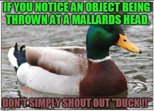 Actual Advice Mallard Meme | IF YOU NOTICE AN OBJECT BEING THROWN AT A MALLARDS HEAD, DON'T SIMPLY SHOUT OUT "DUCK !!" | image tagged in memes,actual advice mallard | made w/ Imgflip meme maker