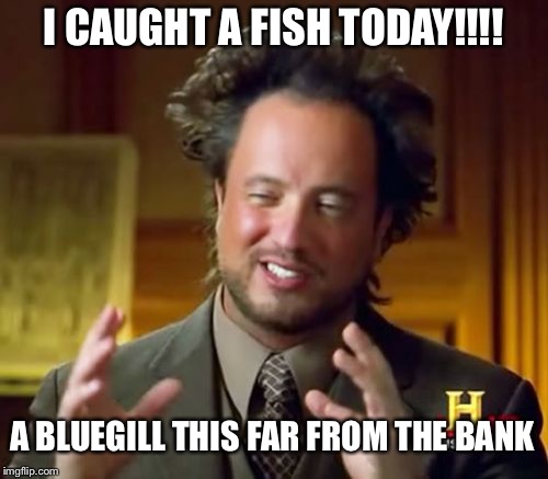 Bass pro? | I CAUGHT A FISH TODAY!!!! A BLUEGILL THIS FAR FROM THE BANK | image tagged in memes,ancient aliens | made w/ Imgflip meme maker