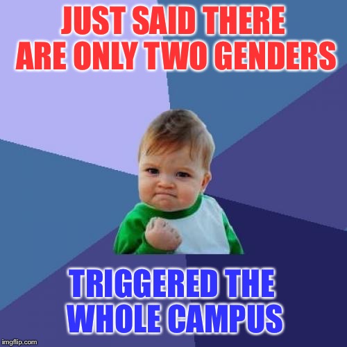 Success Kid | JUST SAID THERE ARE ONLY TWO GENDERS; TRIGGERED THE WHOLE CAMPUS | image tagged in memes,success kid | made w/ Imgflip meme maker