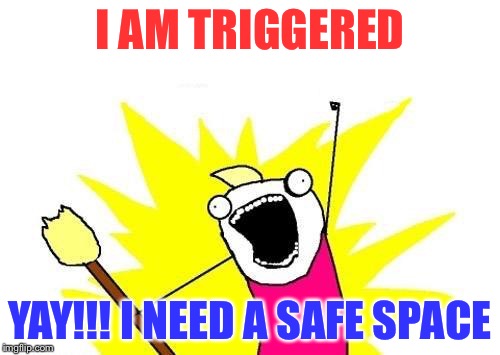 X All The Y | I AM TRIGGERED; YAY!!! I NEED A SAFE SPACE | image tagged in memes,x all the y | made w/ Imgflip meme maker