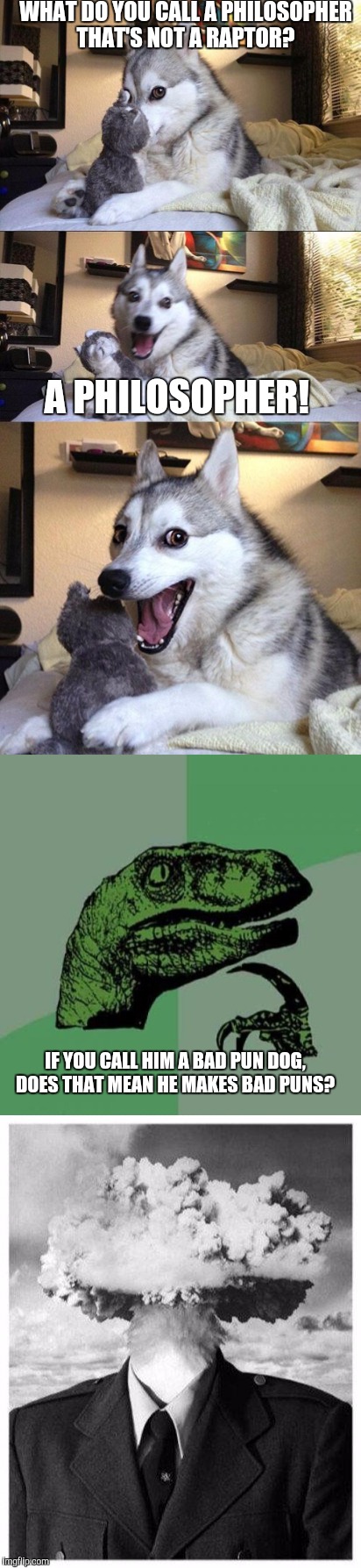 When two memes converse...  | WHAT DO YOU CALL A PHILOSOPHER THAT'S NOT A RAPTOR? A PHILOSOPHER! IF YOU CALL HIM A BAD PUN DOG, DOES THAT MEAN HE MAKES BAD PUNS? | image tagged in bad pun dog,philosoraptor,memes | made w/ Imgflip meme maker