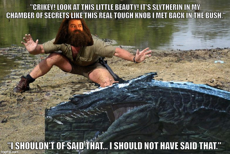 "CRIKEY! LOOK AT THIS LITTLE BEAUTY! IT'S SLYTHERIN IN MY CHAMBER OF SECRETS LIKE THIS REAL TOUGH KNOB I MET BACK IN THE BUSH."; "I SHOULDN'T OF SAID THAT...
I SHOULD NOT HAVE SAID THAT." | image tagged in steve irwin,hagrid,harry potter,basilisk | made w/ Imgflip meme maker