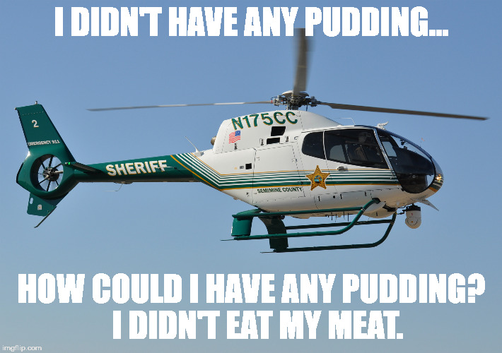 I DIDN'T HAVE ANY PUDDING... HOW COULD I HAVE ANY PUDDING?  I DIDN'T EAT MY MEAT. | image tagged in hello helo | made w/ Imgflip meme maker