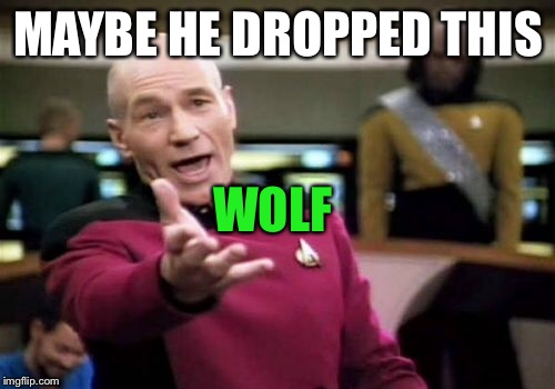 Picard Wtf Meme | MAYBE HE DROPPED THIS WOLF | image tagged in memes,picard wtf | made w/ Imgflip meme maker