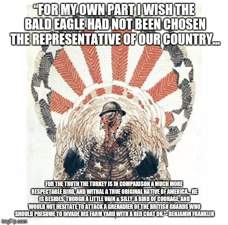 Franklin's Patriotic Turkey | “FOR MY OWN PART I WISH THE BALD EAGLE HAD NOT BEEN CHOSEN THE REPRESENTATIVE OF OUR COUNTRY... FOR THE TRUTH THE TURKEY IS IN COMPARISON A MUCH MORE RESPECTABLE BIRD, AND WITHAL A TRUE ORIGINAL NATIVE OF AMERICA… HE IS BESIDES, THOUGH A LITTLE VAIN & SILLY, A BIRD OF COURAGE, AND WOULD NOT HESITATE TO ATTACK A GRENADIER OF THE BRITISH GUARDS WHO SHOULD PRESUME TO INVADE HIS FARM YARD WITH A RED COAT ON."- BENJAMIN FRANKLIN | image tagged in founding fathers,mascot,american revolution | made w/ Imgflip meme maker