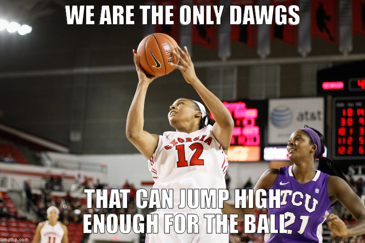 jump ball | WE ARE THE ONLY DAWGS; THAT CAN JUMP HIGH ENOUGH FOR THE BALL | image tagged in jump | made w/ Imgflip meme maker