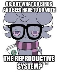 OK, BUT WHAT DO BIRDS AND BEES HAVE TO DO WITH; THE REPRODUCTIVE SYSTEM? | image tagged in espurr got srs | made w/ Imgflip meme maker