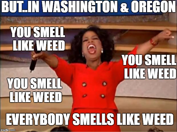Oprah You Get A Meme | BUT..IN WASHINGTON & OREGON YOU SMELL LIKE WEED YOU SMELL LIKE WEED YOU SMELL LIKE WEED EVERYBODY SMELLS LIKE WEED | image tagged in memes,oprah you get a | made w/ Imgflip meme maker