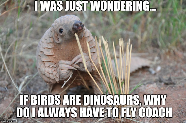 Pondering Pangolin |  I WAS JUST WONDERING... IF BIRDS ARE DINOSAURS, WHY DO I ALWAYS HAVE TO FLY COACH | image tagged in pondering pangolin | made w/ Imgflip meme maker