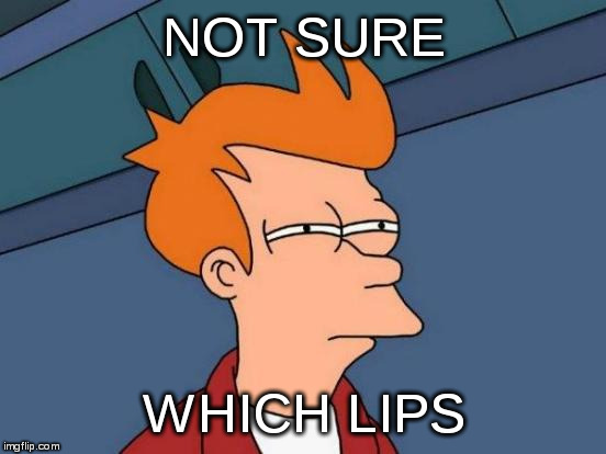 Futurama Fry Meme | NOT SURE WHICH LIPS | image tagged in memes,futurama fry | made w/ Imgflip meme maker