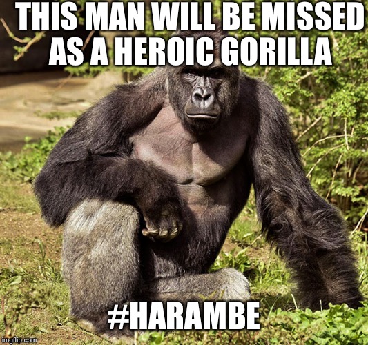 THIS MAN WILL BE MISSED AS A HEROIC GORILLA; #HARAMBE | image tagged in harambe | made w/ Imgflip meme maker