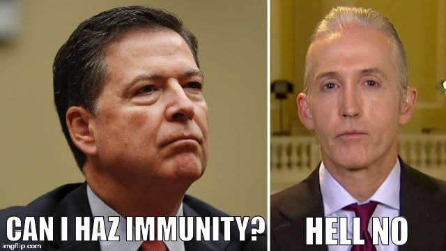 Comey suddenly realizes he was on the wrong team all along.  | HELL NO; CAN I HAZ IMMUNITY? | image tagged in trey gowdy,fbi director james comey,hillary emails | made w/ Imgflip meme maker