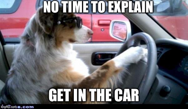 No time to explain | NO TIME TO EXPLAIN; GET IN THE CAR | image tagged in memes,funny,driving,dog,no time | made w/ Imgflip meme maker