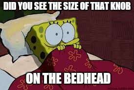 DID YOU SEE THE SIZE OF THAT KNOB ON THE BEDHEAD | made w/ Imgflip meme maker
