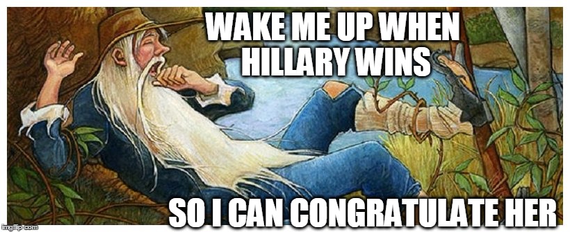 HILLARY 2016 | WAKE ME UP WHEN HILLARY WINS; SO I CAN CONGRATULATE HER | image tagged in sleep | made w/ Imgflip meme maker