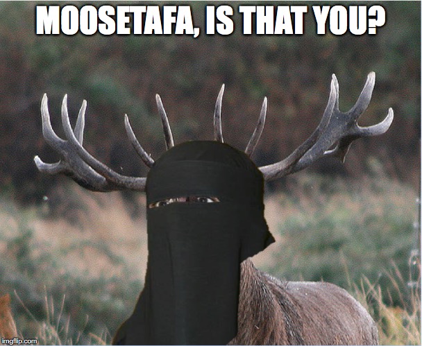 MOOSETAFA, IS THAT YOU? | made w/ Imgflip meme maker
