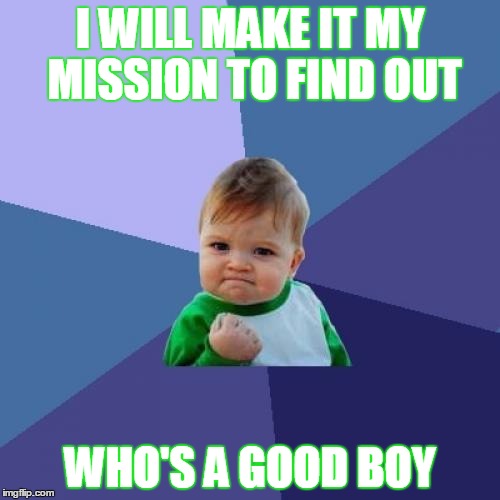 Success Kid | I WILL MAKE IT MY MISSION TO FIND OUT; WHO'S A GOOD BOY | image tagged in memes,success kid | made w/ Imgflip meme maker