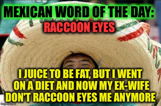 mexican word of the day | MEXICAN WORD OF THE DAY:; RACCOON EYES; I JUICE TO BE FAT, BUT I WENT ON A DIET AND NOW MY EX-WIFE DON'T RACCOON EYES ME ANYMORE | image tagged in mexican word of the day | made w/ Imgflip meme maker