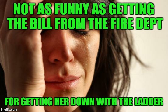 First World Problems Meme | NOT AS FUNNY AS GETTING THE BILL FROM THE FIRE DEPT FOR GETTING HER DOWN WITH THE LADDER | image tagged in memes,first world problems | made w/ Imgflip meme maker
