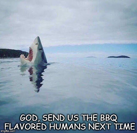 shark_head_out_of_water | GOD, SEND US THE BBQ FLAVORED HUMANS NEXT TIME | image tagged in shark_head_out_of_water | made w/ Imgflip meme maker