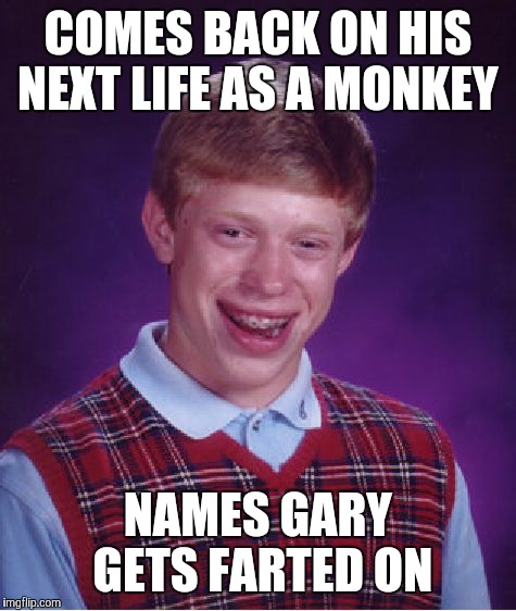 Bad Luck Brian Meme | COMES BACK ON HIS NEXT LIFE AS A MONKEY; NAMES GARY GETS FARTED ON | image tagged in memes,bad luck brian | made w/ Imgflip meme maker