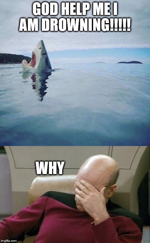 There some species that had not even know that they are a cold blood animal | GOD HELP ME I AM DROWNING!!!!! WHY | image tagged in memes,shark_head_out_of_water | made w/ Imgflip meme maker