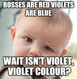 Skeptical Baby | ROSSES ARE RED
VIOLETS ARE BLUE; WAIT ISN'T VIOLET, VIOLET COLOUR? | image tagged in memes,skeptical baby | made w/ Imgflip meme maker
