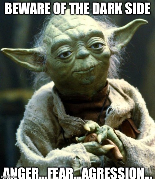 Star Wars Yoda | BEWARE OF THE DARK SIDE; ANGER...FEAR...AGRESSION... | image tagged in memes,star wars yoda | made w/ Imgflip meme maker