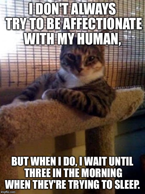 The Most Interesting Cat In The World | I DON'T ALWAYS TRY TO BE AFFECTIONATE WITH MY HUMAN, BUT WHEN I DO, I WAIT UNTIL THREE IN THE MORNING WHEN THEY'RE TRYING TO SLEEP. | image tagged in memes,the most interesting cat in the world | made w/ Imgflip meme maker