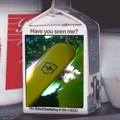 missing | image tagged in missing | made w/ Imgflip meme maker