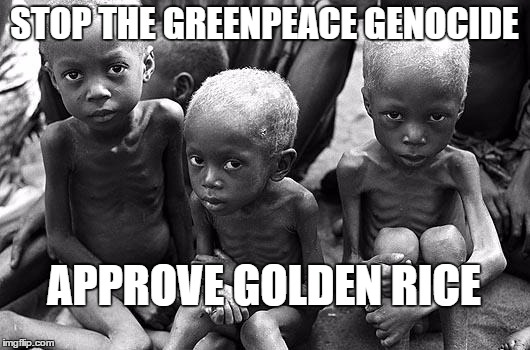 african children | STOP THE GREENPEACE GENOCIDE; APPROVE GOLDEN RICE | image tagged in african children | made w/ Imgflip meme maker