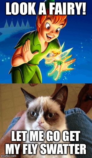 Grumpy Cat Does Not Believe Meme | LOOK A FAIRY! LET ME GO GET MY FLY SWATTER | image tagged in memes,grumpy cat does not believe | made w/ Imgflip meme maker