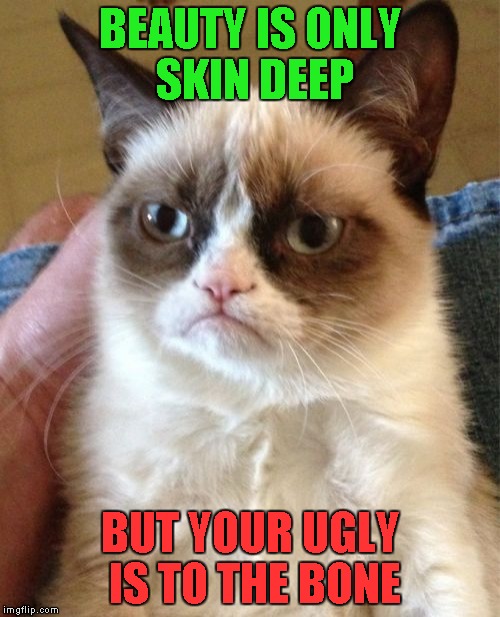 Grumpy Cat | BEAUTY IS ONLY SKIN DEEP; BUT YOUR UGLY IS TO THE BONE | image tagged in memes,grumpy cat | made w/ Imgflip meme maker