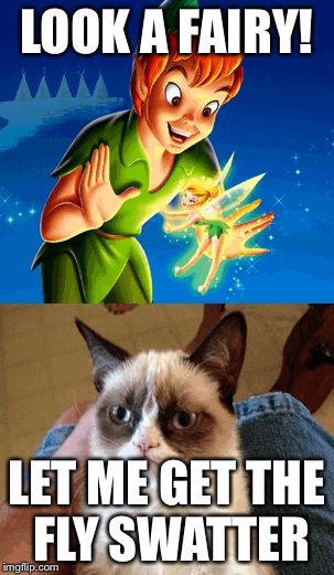 Grumpy Cat Does Not Believe Meme | LOOK A FAIRY! LET ME GET THE FLY SWATTER | image tagged in memes,grumpy cat does not believe | made w/ Imgflip meme maker