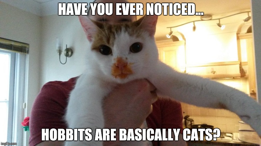 Hobbit are basically cats | HAVE YOU EVER NOTICED... HOBBITS ARE BASICALLY CATS? | image tagged in the lord of the rings,lord of the rings,hobbits,cats,cat memes,wrong neighboorhood cats | made w/ Imgflip meme maker