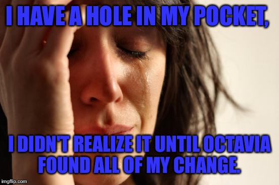 First World Problems | I HAVE A HOLE IN MY POCKET, I DIDN'T REALIZE IT UNTIL OCTAVIA FOUND ALL OF MY CHANGE. | image tagged in memes,first world problems | made w/ Imgflip meme maker