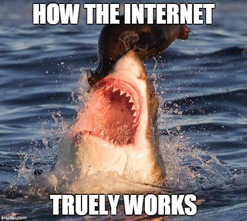 Travelonshark | HOW THE INTERNET; TRUELY WORKS | image tagged in memes,travelonshark | made w/ Imgflip meme maker