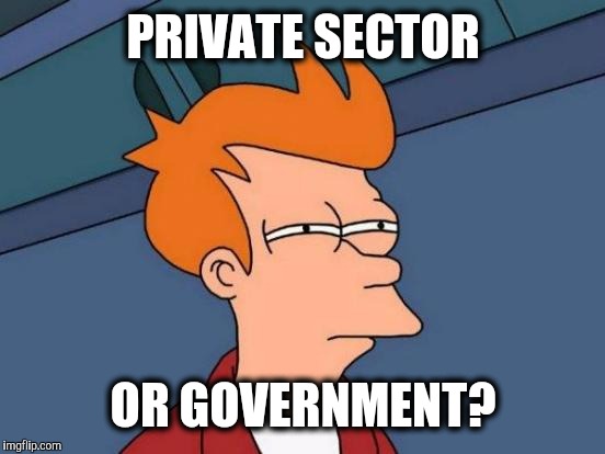 Futurama Fry Meme | PRIVATE SECTOR OR GOVERNMENT? | image tagged in memes,futurama fry | made w/ Imgflip meme maker
