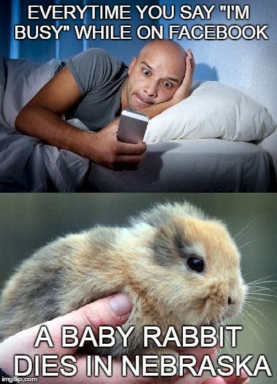 Baby bunny | EVERYTIME YOU SAY "I'M BUSY" WHILE ON FACEBOOK; A BABY RABBIT DIES IN NEBRASKA | image tagged in baby rabbit,bunny,dead rabbit,facebook,time wasting,distracted driving | made w/ Imgflip meme maker