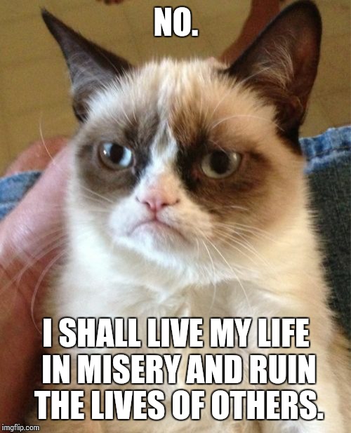 Grumpy Cat Meme | NO. I SHALL LIVE MY LIFE IN MISERY AND RUIN THE LIVES OF OTHERS. | image tagged in memes,grumpy cat | made w/ Imgflip meme maker