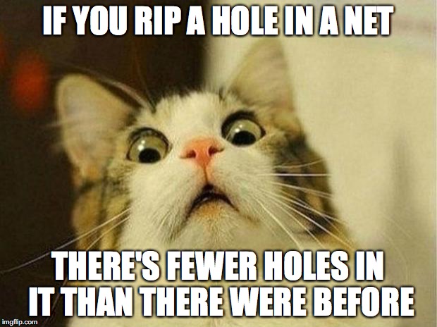 Scared Cat | IF YOU RIP A HOLE IN A NET; THERE'S FEWER HOLES IN IT THAN THERE WERE BEFORE | image tagged in memes,scared cat | made w/ Imgflip meme maker