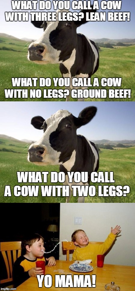 WHAT DO YOU CALL A COW WITH THREE LEGS? LEAN BEEF! WHAT DO YOU CALL A COW WITH NO LEGS? GROUND BEEF! WHAT DO YOU CALL A COW WITH TWO LEGS? YO MAMA! | image tagged in cow,yo mamas so fat | made w/ Imgflip meme maker