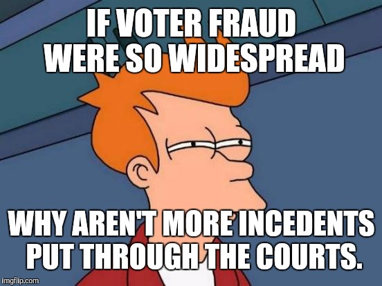 Futurama Fry Meme | IF VOTER FRAUD WERE SO WIDESPREAD WHY AREN'T MORE INCEDENTS PUT THROUGH THE COURTS. | image tagged in memes,futurama fry | made w/ Imgflip meme maker