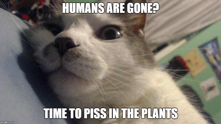 HUMANS ARE GONE? TIME TO PISS IN THE PLANTS | image tagged in humans r gone | made w/ Imgflip meme maker