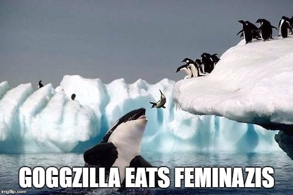 Killer whale | GOGGZILLA EATS FEMINAZIS | image tagged in killer whale | made w/ Imgflip meme maker