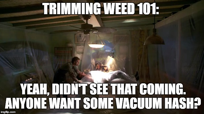 You must prepare | TRIMMING WEED 101:; YEAH, DIDN'T SEE THAT COMING. ANYONE WANT SOME VACUUM HASH? | image tagged in weed | made w/ Imgflip meme maker