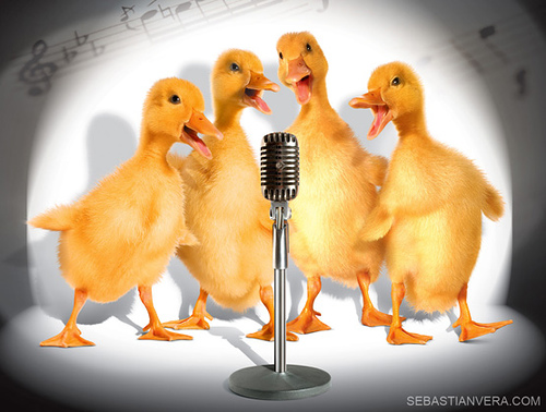 High Quality Singing Ducks Blank Meme Template