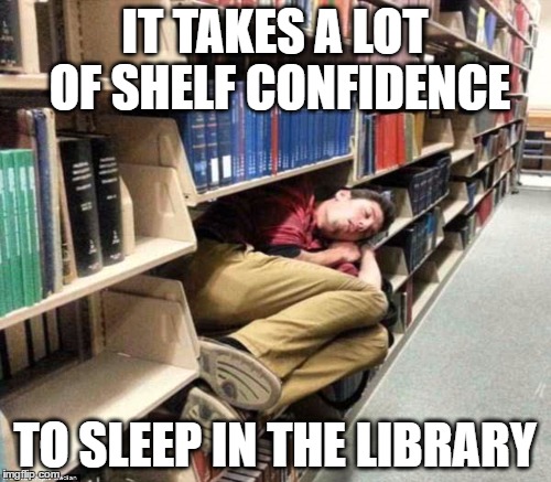 IT TAKES A LOT OF SHELF CONFIDENCE TO SLEEP IN THE LIBRARY | made w/ Imgflip meme maker